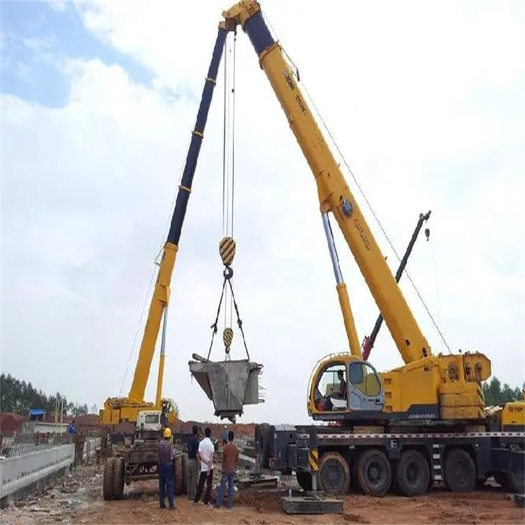 温岭小型吊机出租电话|厂房设备吊装方案|24小时服务覆盖